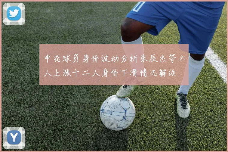 申花球员身价波动分析朱辰杰等六人上涨十二人身价下滑情况解读