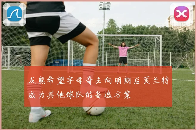 灰熊希望字母哥去向明朗后莫兰特成为其他球队的备选方案